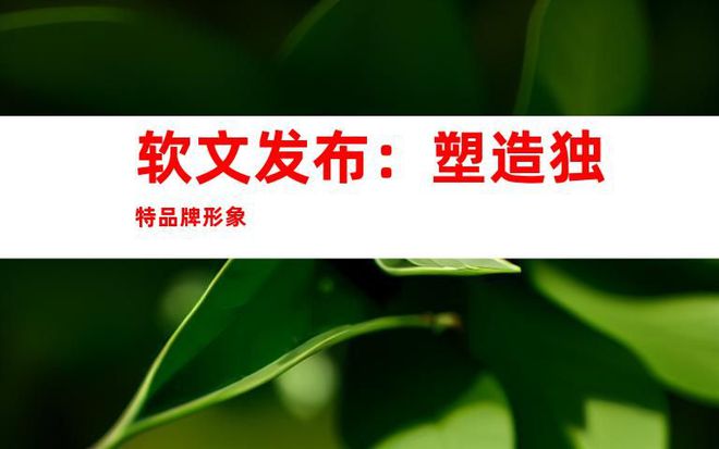媒體網(wǎng)站推廣、軟文發(fā)布、網(wǎng)絡宣傳：文章全新的媒體發(fā)布渠道！