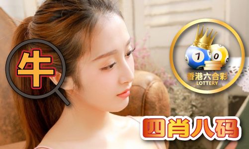 最新一期區(qū)免費網站V