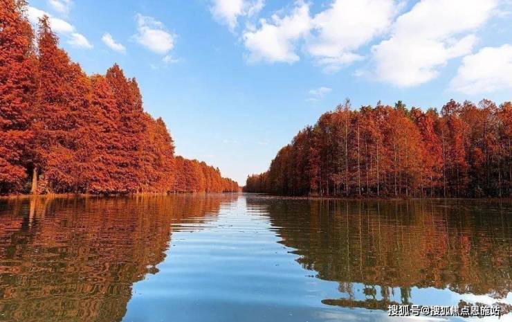 上海奉賢( 陜建名城映藍(lán))首頁(yè)網(wǎng)站-最新房?jī)r(jià)-房型圖-樓盤百科詳情24(圖25)